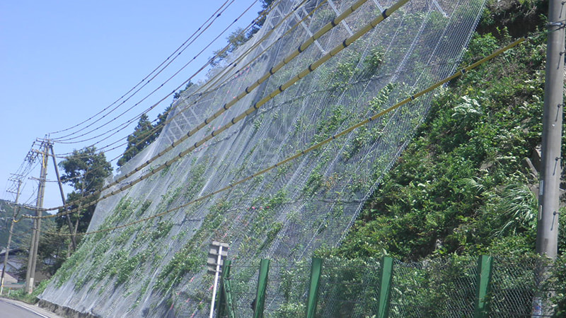 ポケット式落石防護網 施工例